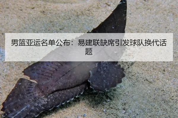 男篮亚运名单公布：易建联缺席引发球队换代话题